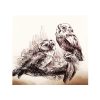 "Little Owls"